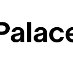 The Palace Project Logo for The Palace Project. On the left is an abstract geometric icon resembling an open book or ribbon, in red, orange, blue, and light blue. To the right, black text reads “The Palace Project.”